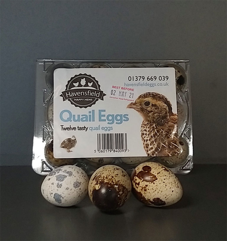 Free range quail eggs